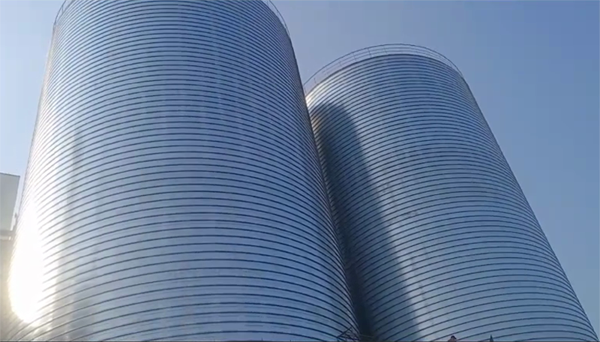 汪清2座混凝土高架卷板仓